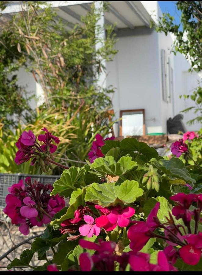 Mykonos TownAlestaアパートメント エクステリア 写真